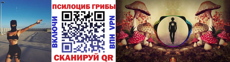 Псилоцибиновые грибы MAGIC MUSHROOMS  Купить где  Кораблино 